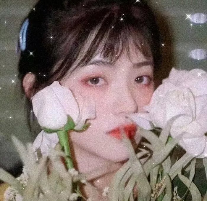 隋唐英雄传