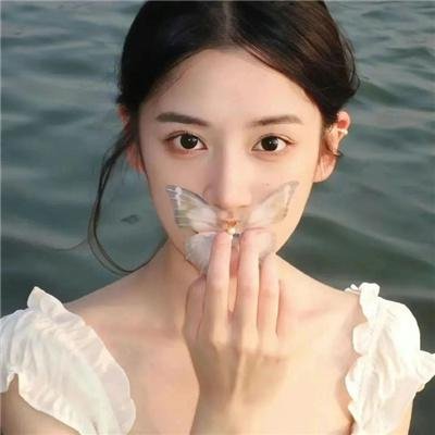 摄影师贝尔蒂与海豚零距离